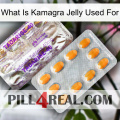 What Is Kamagra Jelly Used For new12